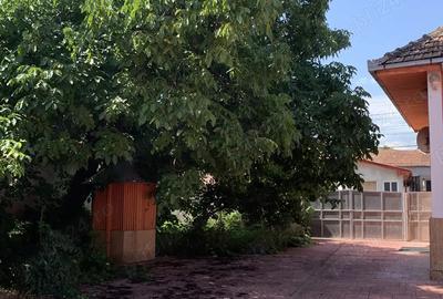 Casă cu 2 camere în Cricău - 15