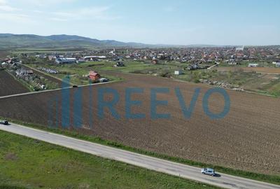 Teren de vanzare, Com. Nicolae Balcescu, Jud. Bacau - 6