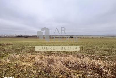 Teren de 4792 mp, în Bucov - 2