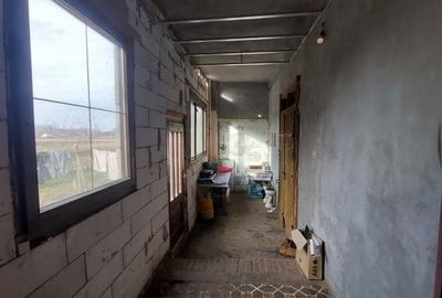 Gelu – Casa 4 Camere – Teren 6700 mp Gelu – Casa 4 Camere – Teren 6700 mp - 12