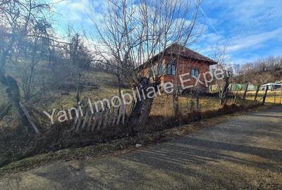 Teren de vanzare in comuna Cicane?ti, sat Cicane?ti, Jude? Arge?. - 9