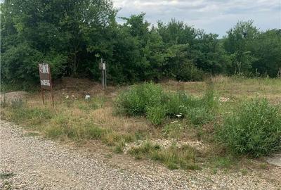 Teren de 645 mp, în Paleu