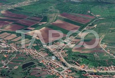 Teren de 700 mp, în Hamba - 1