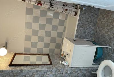 Apartament vintage-chic Grigorescu - 6