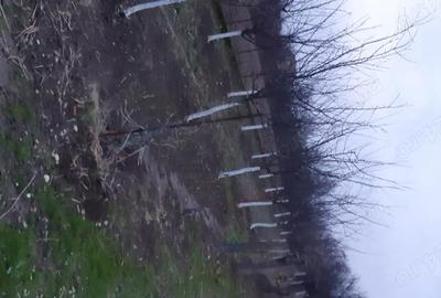 Casă cu 4 camere cu Teren 1439 Mp în Cermei - 3