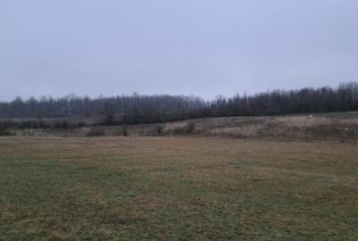 Teren extravilan comuna Crasna-Gorj 10912mp - 1