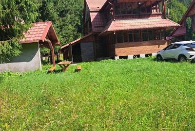Cabana in mijlocul naturii, de vanzare, zona Lunca Bradului - Salard - 5