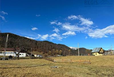 TEREN INTRAVILAN SIRNEA/ 4000 MP/ - 7