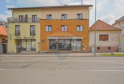 Comision 0 %! Pensiune cu 12 camere de vanzare, str. De ...