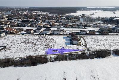 Teren intravilan de 605 mp, în Corbeanca - 4