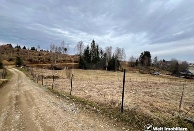 Teren pentru cabana, Risca, Valea Fericirii - 2