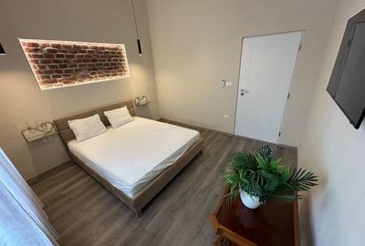 Casa Lipovei transformata in SAD - 15