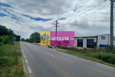 Săbăreni, teren 1900 mp, stradal, hală depozitare, productie, comert - 1