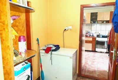 Teren Mare cu 2 case in Biharia. - 6