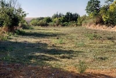 Teren Construcții intravilan de 2000 mp, în Istria - 5