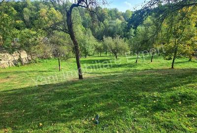 Teren de vanzare in comuna Arefu, sat Arefu, jude? Arge?. - 4