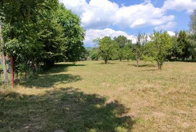 Comarnic(Ph) - doua terenuri cu toate utilitatile, asfalt, padure - 1