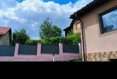 Casă cu 3 camere în Griviței - 1