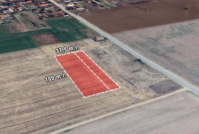 Teren de 3750 mp, în Brănești