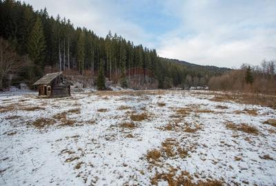Teren intravilan de 49000 mp, în Borca - 10