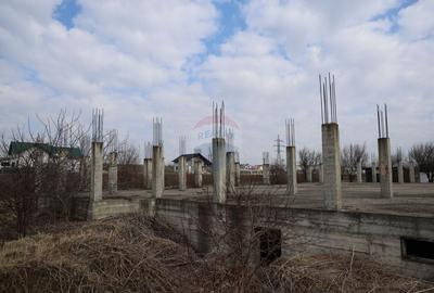 Teren Construcții intravilan de 6900 mp, în Șcheia - 12