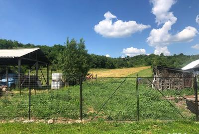 Casă cu 3 camere în Central - 4