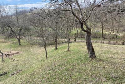 Teren de 4700 mp, în Romos - 4