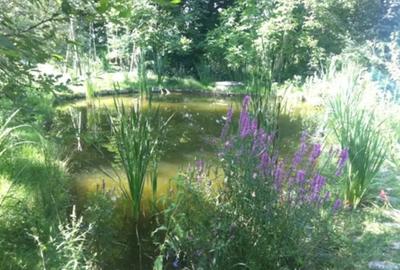 Casă cu 7 camere în Piatra (Provița de Jos) - 2