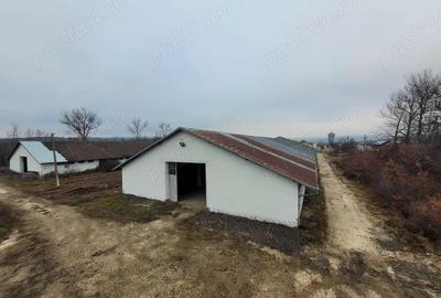 Hale de inchiriat - 1200m2 pana la 7200m2 Teiu Jud Hunedoara langa autostrada - 4