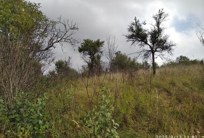 LOC de CASA cu TEREN INTRAVILAN în Banatul de munte. - 3