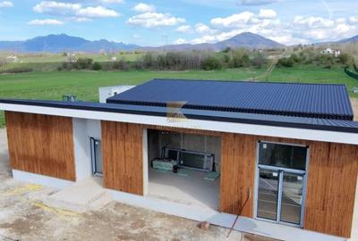 Casă individuală cu 4 camere cu Canalizare în Tohanu Nou - 20