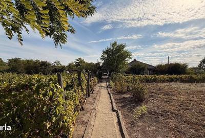 Casă cu 4 camere cu Teren 160 Mp în Perișoru