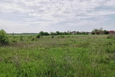 Corbeanca Padure Teren 1000mp - 3