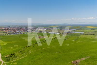 Teren agricol extravilan de 1500 mp, în Codlea - 10