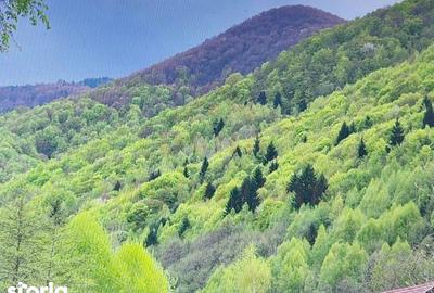 Casă cu 10 camere cu Teren 1000 Mp în Cerbăl - 4