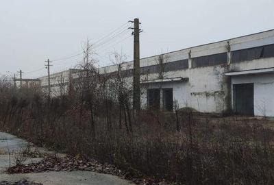 Hala ideal productie Oltenita - 5