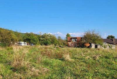 Casă cu 4 camere în Peștere - 7