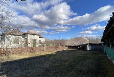 Casa traditionala argeseana cu teren generos - comuna Vedea, jud. Arges - 9
