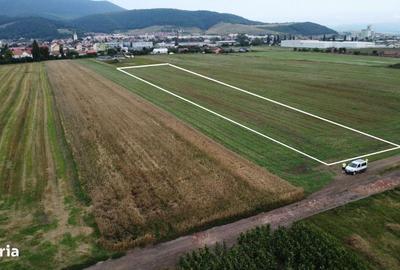 Spațiu comercial, în Nord