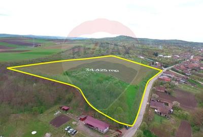 Teren de 34425 mp, în Bădeni - 7