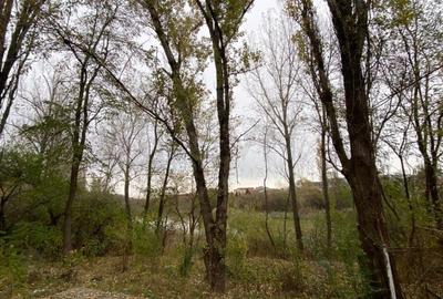 REC3000937 Bloc investitie zona Pipera - 4