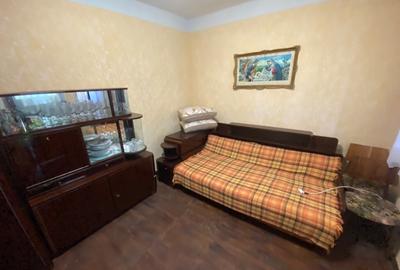 Casa cu anexe gospodare?ti ?i 40 ari teren Tataresti, Satu-Mare - 7