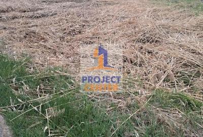 Teren Stalpeni, zona Livezeni, la DN, intravilan, 4000 mp - 1