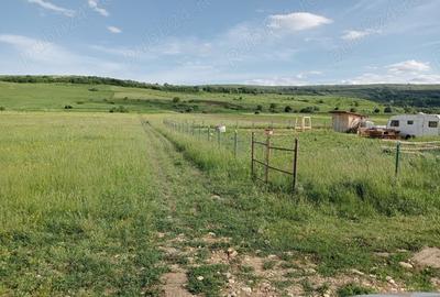 Teren de 1300 mp, în Chinteni - 2