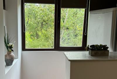 Garsonieră, mobilată în Lucrețiu Pătrășcanu - 7