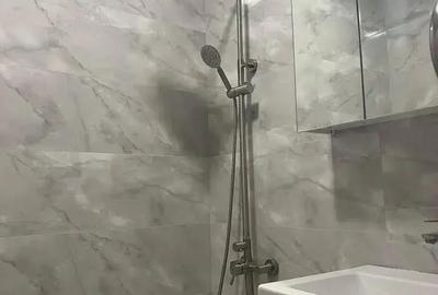 Oferim spre inchiriere garsoniera in zona Buna Ziua - 2