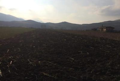 Teren de 3000 mp, în Șard - 1