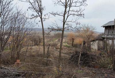 Casă cu 3 camere cu Teren 3200 Mp în Sutești - 4