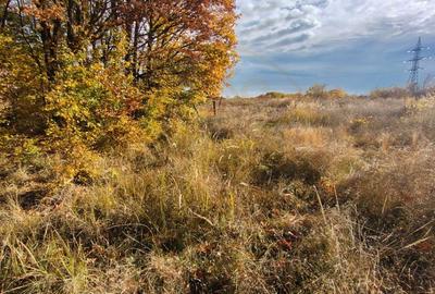 Teren Construcții intravilan de 10200 mp, în Moșoaia - 6