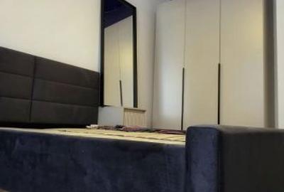 Apartament cu 2 camere decomandat în Roșu